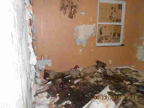 18961 Joann (9)_m.jpg